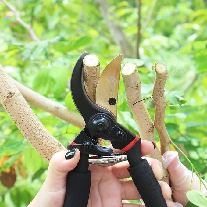 8'' Inches Shears for Gardening, Garden Hand Shears Scissors , Professional Bypass Pruner Garden Clippers