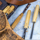 Wood Carving Tools, 12-Piece Wood Whittling Kit with Mallet and Canvas Case Woodworking Chisel Set for Beginners and Professionals